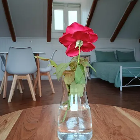 Perispit Apartament
